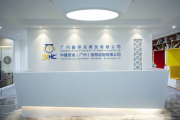 中建资询
