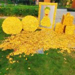 ����׿������ҵ�������޹�˾