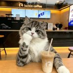 ���ϵ�λ����һ������ ��Ψһ�籣